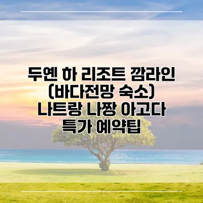 두옌 하 리조트 깜라인 (바다전망 숙소) 나트랑 나짱 아고다 특가 예약팁