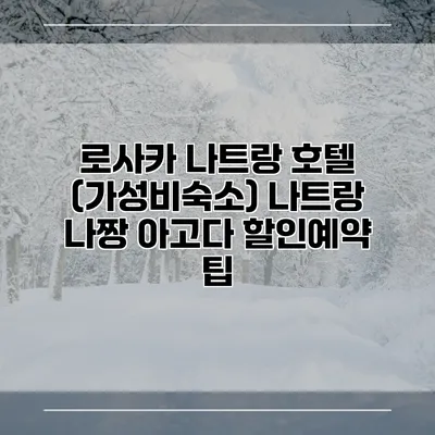 로사카 나트랑 호텔 (가성비숙소) 나트랑 나짱 아고다 할인예약 팁