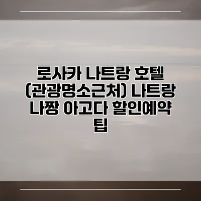 로사카 나트랑 호텔 (관광명소근처) 나트랑 나짱 아고다 할인예약 팁