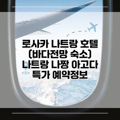 로사카 나트랑 호텔 (바다전망 숙소) 나트랑 나짱 아고다 특가 예약정보