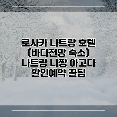 로사카 나트랑 호텔 (바다전망 숙소) 나트랑 나짱 아고다 할인예약 꿀팁