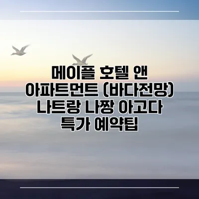 메이플 호텔 앤 아파트먼트 (바다전망) 나트랑 나짱 아고다 특가 예약팁
