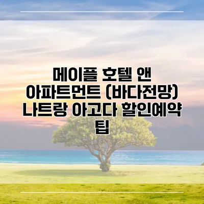 메이플 호텔 앤 아파트먼트 (바다전망) 나트랑 아고다 할인예약 팁