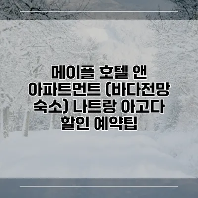 메이플 호텔 앤 아파트먼트 (바다전망 숙소) 나트랑 아고다 할인 예약팁