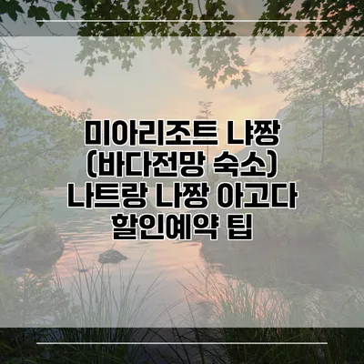 미아리조트 냐짱 (바다전망 숙소) 나트랑 나짱 아고다 할인예약 팁