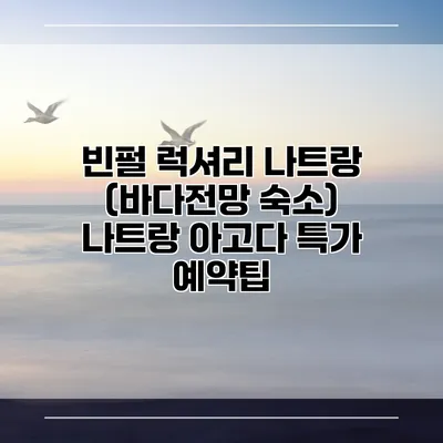 빈펄 럭셔리 나트랑 (바다전망 숙소) 나트랑 아고다 특가 예약팁