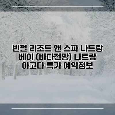 빈펄 리조트 앤 스파 나트랑 베이 (바다전망) 나트랑 아고다 특가 예약정보
