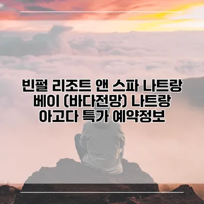 빈펄 리조트 앤 스파 나트랑 베이 (바다전망) 나트랑 아고다 특가 예약정보