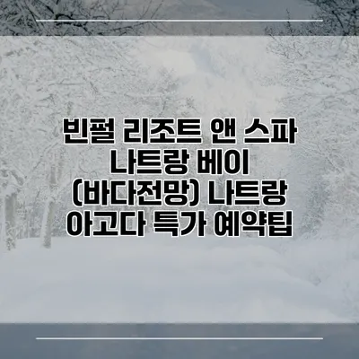 빈펄 리조트 앤 스파 나트랑 베이 (바다전망) 나트랑 아고다 특가 예약팁