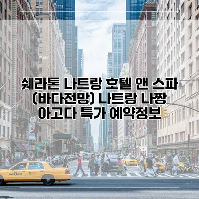 쉐라톤 나트랑 호텔 앤 스파 (바다전망) 나트랑 나짱 아고다 특가 예약정보