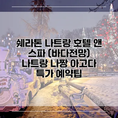 쉐라톤 나트랑 호텔 앤 스파 (바다전망) 나트랑 나짱 아고다 특가 예약팁