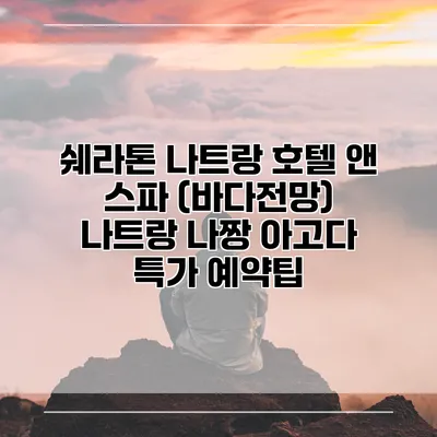 쉐라톤 나트랑 호텔 앤 스파 (바다전망) 나트랑 나짱 아고다 특가 예약팁