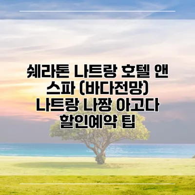 쉐라톤 나트랑 호텔 앤 스파 (바다전망) 나트랑 나짱 아고다 할인예약 팁