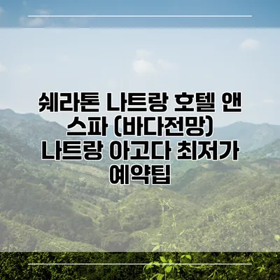 쉐라톤 나트랑 호텔 앤 스파 (바다전망) 나트랑 아고다 최저가 예약팁