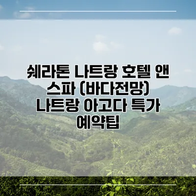쉐라톤 나트랑 호텔 앤 스파 (바다전망) 나트랑 아고다 특가 예약팁