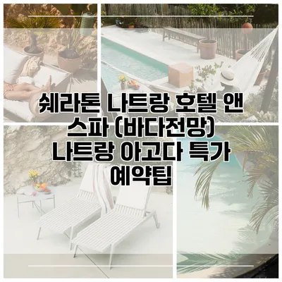 쉐라톤 나트랑 호텔 앤 스파 (바다전망) 나트랑 아고다 특가 예약팁