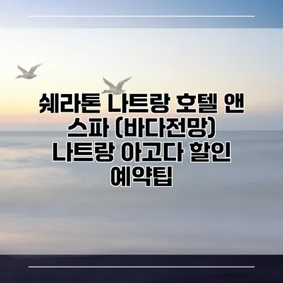 쉐라톤 나트랑 호텔 앤 스파 (바다전망) 나트랑 아고다 할인 예약팁