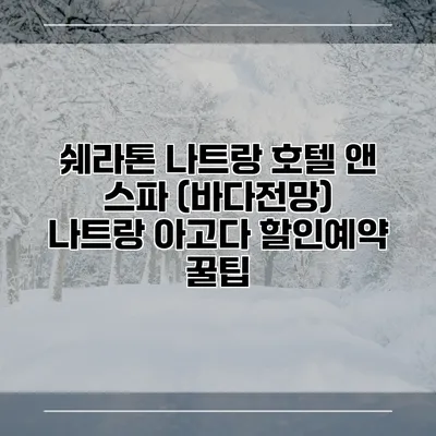 쉐라톤 나트랑 호텔 앤 스파 (바다전망) 나트랑 아고다 할인예약 꿀팁