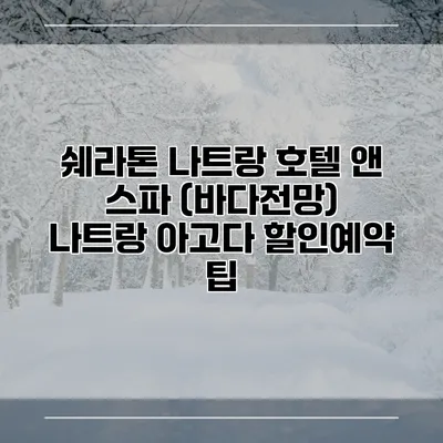 쉐라톤 나트랑 호텔 앤 스파 (바다전망) 나트랑 아고다 할인예약 팁