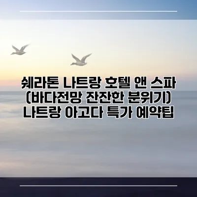 쉐라톤 나트랑 호텔 앤 스파 (바다전망 잔잔한 분위기) 나트랑 아고다 특가 예약팁