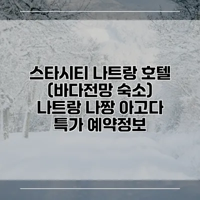 스타시티 나트랑 호텔 (바다전망 숙소) 나트랑 나짱 아고다 특가 예약정보