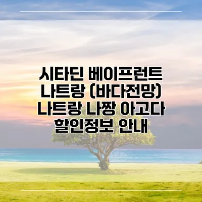 시타딘 베이프런트 나트랑 (바다전망) 나트랑 나짱 아고다 할인정보 안내