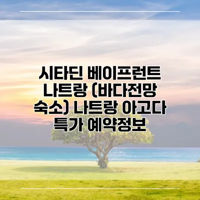 시타딘 베이프런트 나트랑 (바다전망 숙소) 나트랑 아고다 특가 예약정보