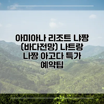 아미아나 리조트 냐짱 (바다전망) 나트랑 나짱 아고다 특가 예약팁