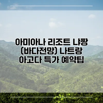 아미아나 리조트 냐짱 (바다전망) 나트랑 아고다 특가 예약팁