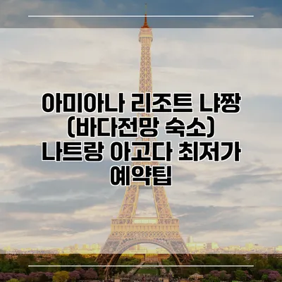 아미아나 리조트 냐짱 (바다전망 숙소) 나트랑 아고다 최저가 예약팁