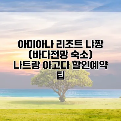 아미아나 리조트 냐짱 (바다전망 숙소) 나트랑 아고다 할인예약 팁