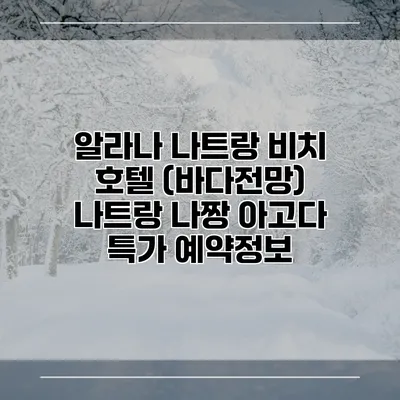 알라나 나트랑 비치 호텔 (바다전망) 나트랑 나짱 아고다 특가 예약정보