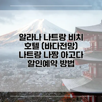 알라나 나트랑 비치 호텔 (바다전망) 나트랑 나짱 아고다 할인예약 방법