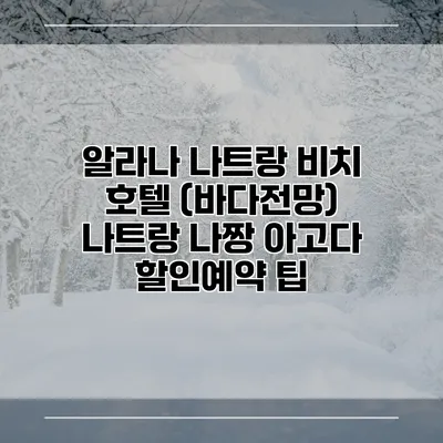 알라나 나트랑 비치 호텔 (바다전망) 나트랑 나짱 아고다 할인예약 팁