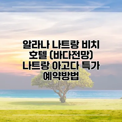 알라나 나트랑 비치 호텔 (바다전망) 나트랑 아고다 특가 예약방법