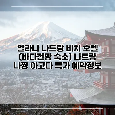 알라나 나트랑 비치 호텔 (바다전망 숙소) 나트랑 나짱 아고다 특가 예약정보