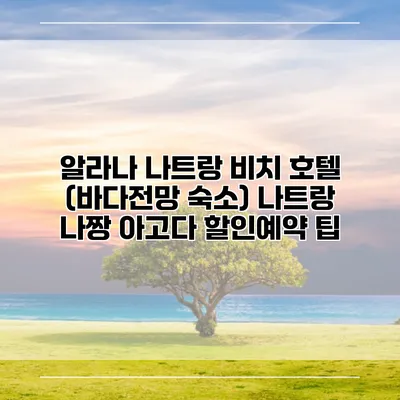 알라나 나트랑 비치 호텔 (바다전망 숙소) 나트랑 나짱 아고다 할인예약 팁