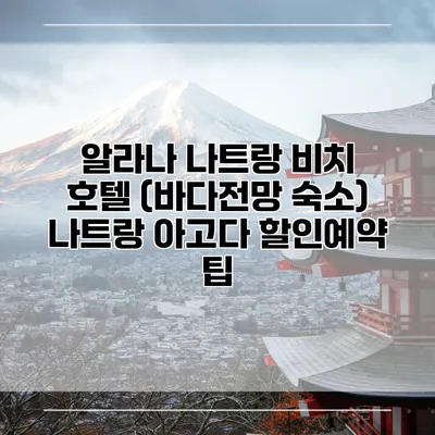 알라나 나트랑 비치 호텔 (바다전망 숙소) 나트랑 아고다 할인예약 팁