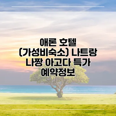 애론 호텔 (가성비숙소) 나트랑 나짱 아고다 특가 예약정보