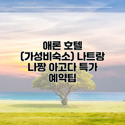 애론 호텔 (가성비숙소) 나트랑 나짱 아고다 특가 예약팁
