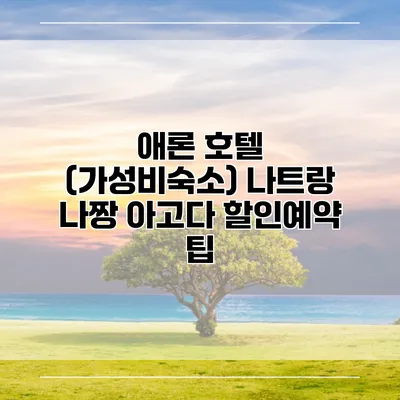 애론 호텔 (가성비숙소) 나트랑 나짱 아고다 할인예약 팁
