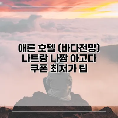 애론 호텔 (바다전망) 나트랑 나짱 아고다 쿠폰 최저가 팁