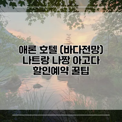 애론 호텔 (바다전망) 나트랑 나짱 아고다 할인예약 꿀팁