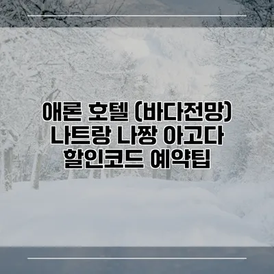 애론 호텔 (바다전망) 나트랑 나짱 아고다 할인코드 예약팁