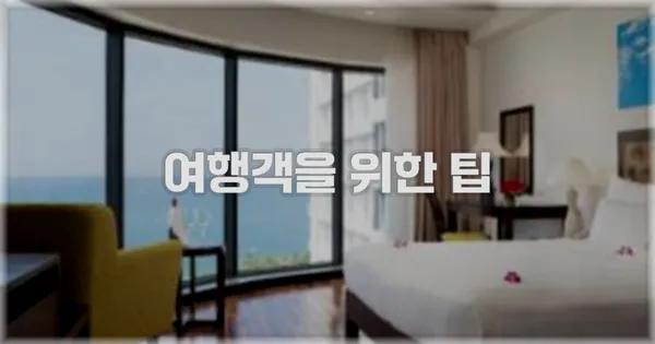 여행객을 위한 팁