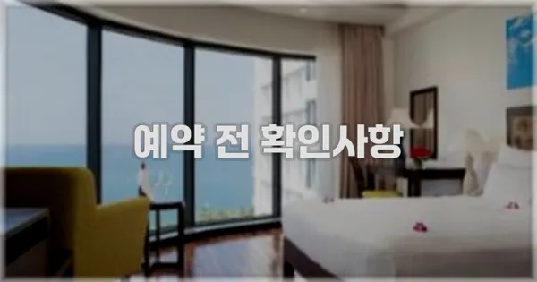 예약 전 확인사항