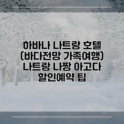 하바나 나트랑 호텔 (바다전망 가족여행) 나트랑 나짱 아고다 할인예약 팁
