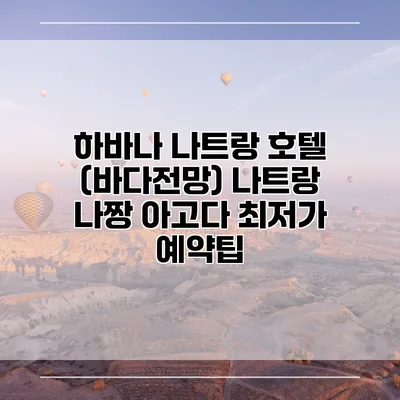 하바나 나트랑 호텔 (바다전망) 나트랑 나짱 아고다 최저가 예약팁