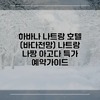 하바나 나트랑 호텔 (바다전망) 나트랑 나짱 아고다 특가 예약가이드