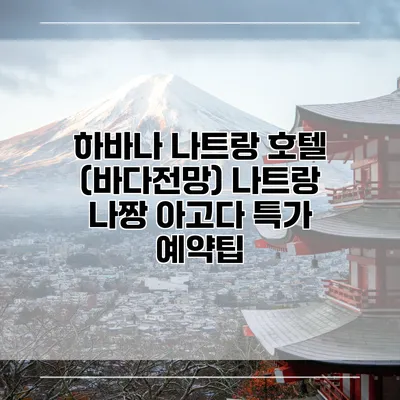 하바나 나트랑 호텔 (바다전망) 나트랑 나짱 아고다 특가 예약팁